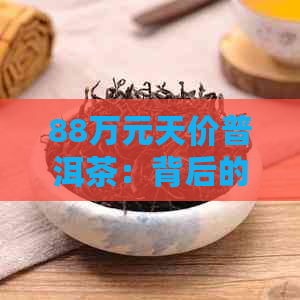 88万元天价普洱茶：背后的故事、品种、品